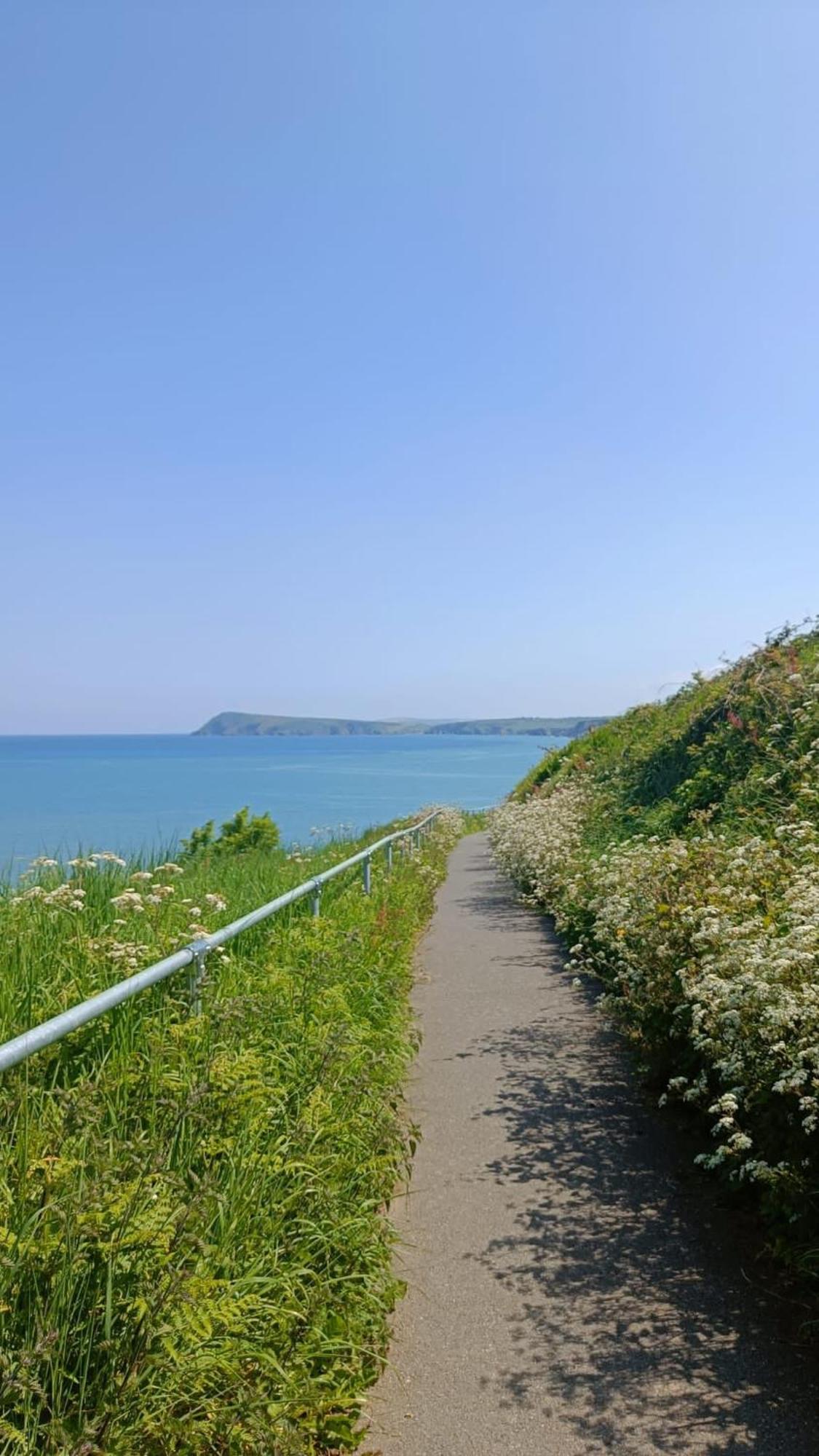 Rose And Crown Hotel & Hope And Anchor Bar Goodwick Exteriér fotografie