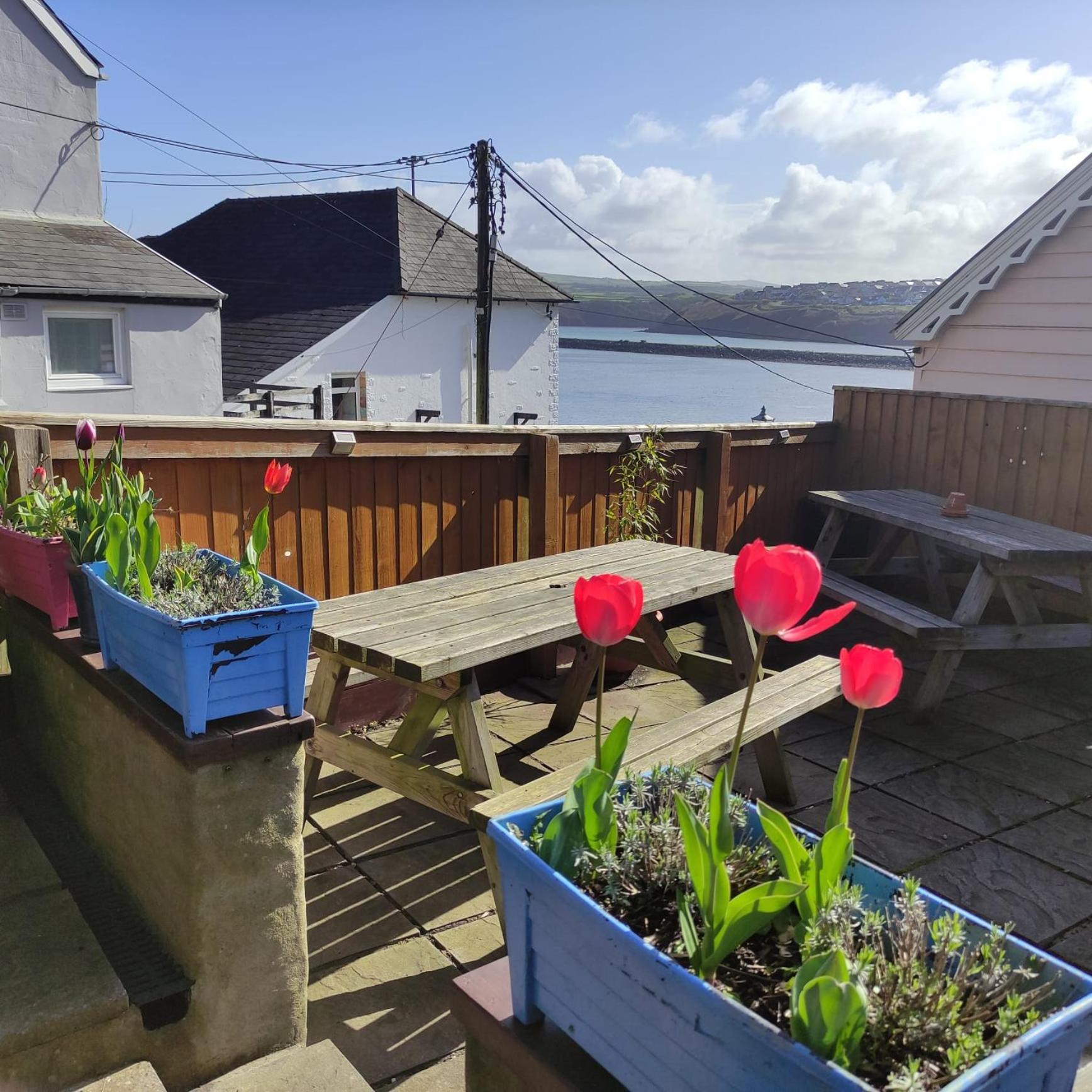 Rose And Crown Hotel & Hope And Anchor Bar Goodwick Exteriér fotografie