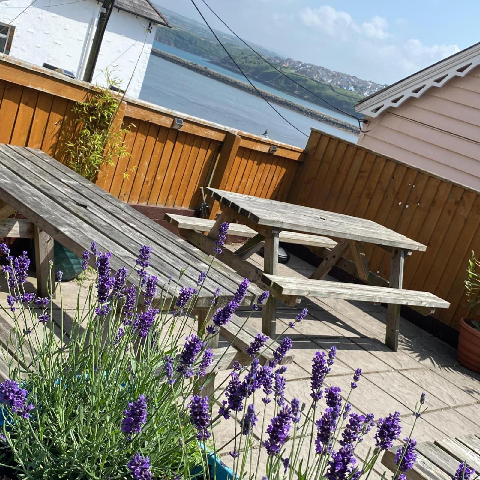 Rose And Crown Hotel & Hope And Anchor Bar Goodwick Exteriér fotografie